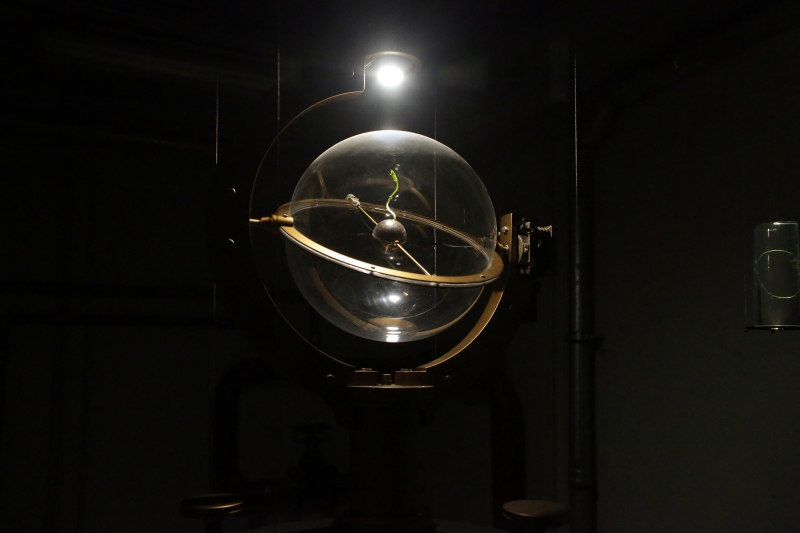 Y2K周巧其/胡悠揚作品《生物訊號_模控》(Biosignal_Cybernation)於奧地利林茲電子藝術節展示，設置繁複的裝置與標本組皆吊掛離地5公尺高